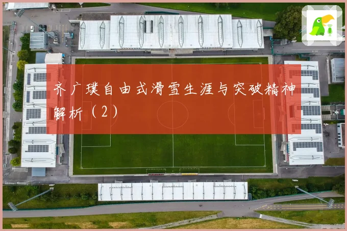 齐广璞自由式滑雪生涯与突破精神解析（2）